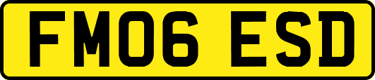 FM06ESD