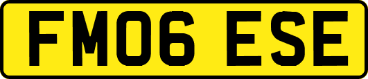 FM06ESE