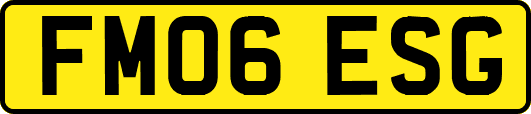 FM06ESG
