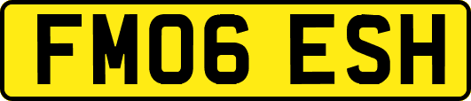 FM06ESH