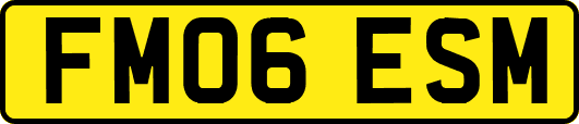 FM06ESM