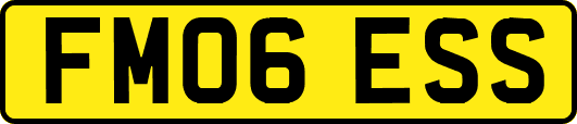 FM06ESS
