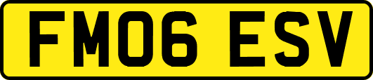 FM06ESV