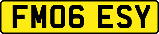 FM06ESY