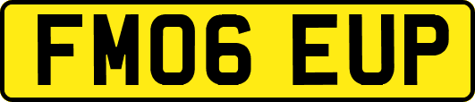 FM06EUP