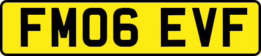 FM06EVF