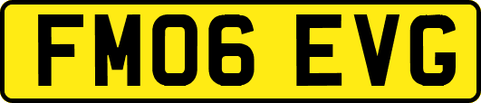 FM06EVG