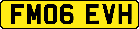 FM06EVH