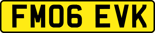 FM06EVK