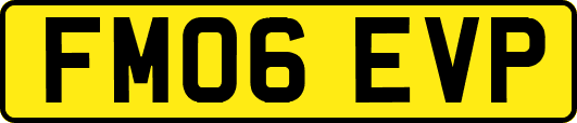 FM06EVP