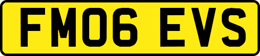 FM06EVS