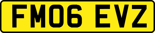 FM06EVZ