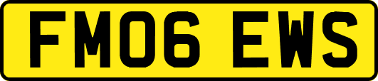FM06EWS