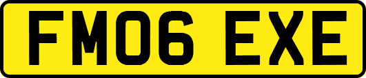 FM06EXE