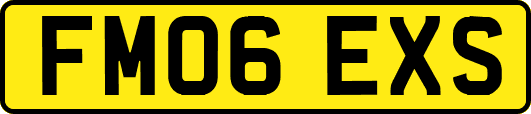 FM06EXS
