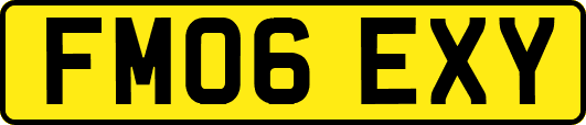 FM06EXY
