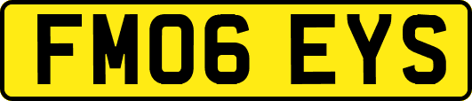 FM06EYS
