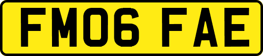 FM06FAE