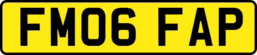 FM06FAP