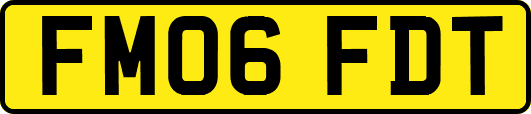 FM06FDT