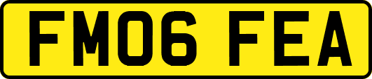 FM06FEA