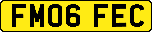 FM06FEC