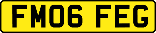 FM06FEG