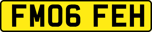 FM06FEH