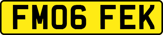 FM06FEK