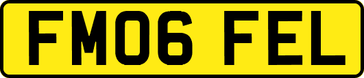 FM06FEL