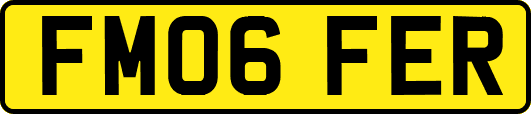 FM06FER