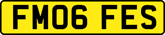 FM06FES