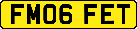 FM06FET