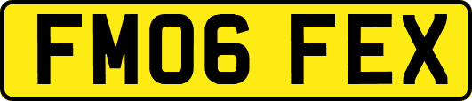FM06FEX