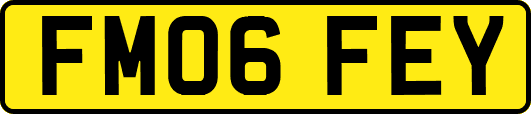FM06FEY