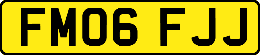 FM06FJJ