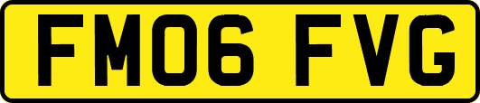 FM06FVG