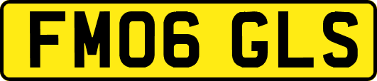 FM06GLS