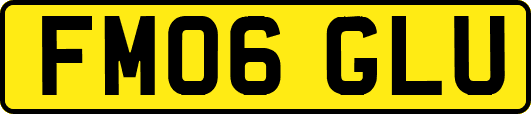 FM06GLU