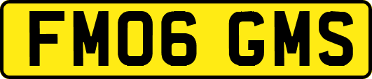 FM06GMS