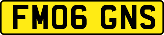 FM06GNS