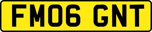 FM06GNT