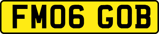 FM06GOB