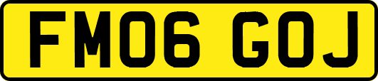 FM06GOJ