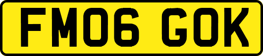 FM06GOK