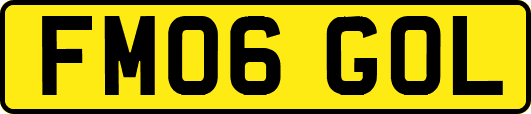 FM06GOL