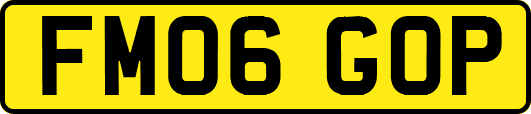 FM06GOP