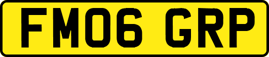 FM06GRP