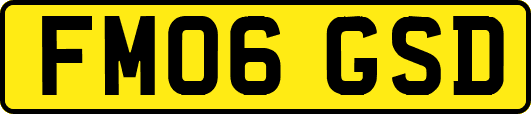 FM06GSD