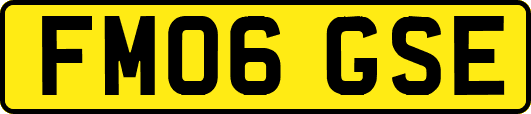 FM06GSE